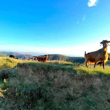 Deluxe Jante Infinity Pool Δυρράχιο