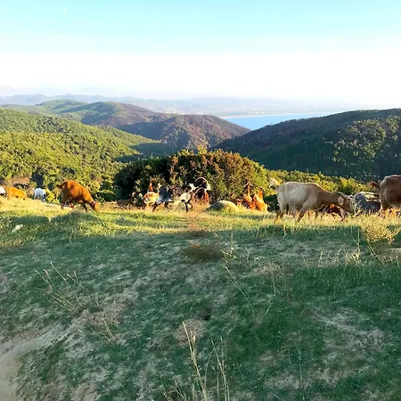 Deluxe Jante Infinity Pool