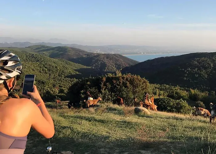 Deluxe Jante Infinity Pool