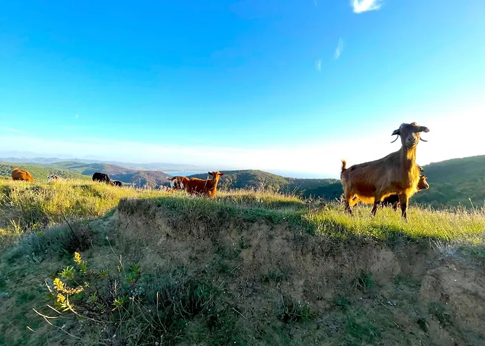 Deluxe Jante Infinity Pool Durrës